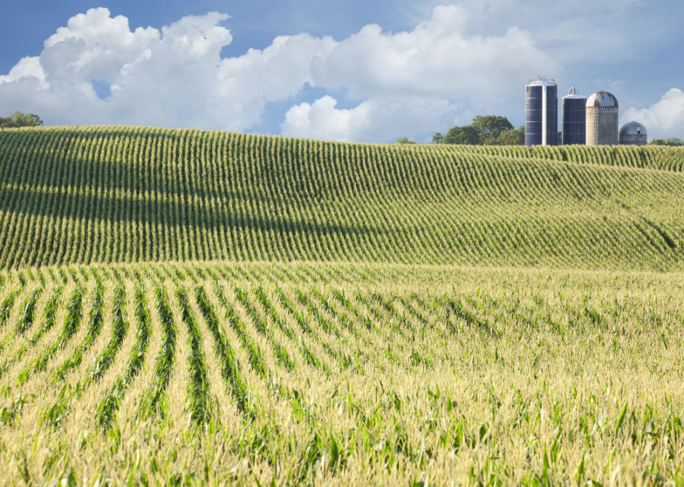 Le plus grand comté agricole de chaque État 