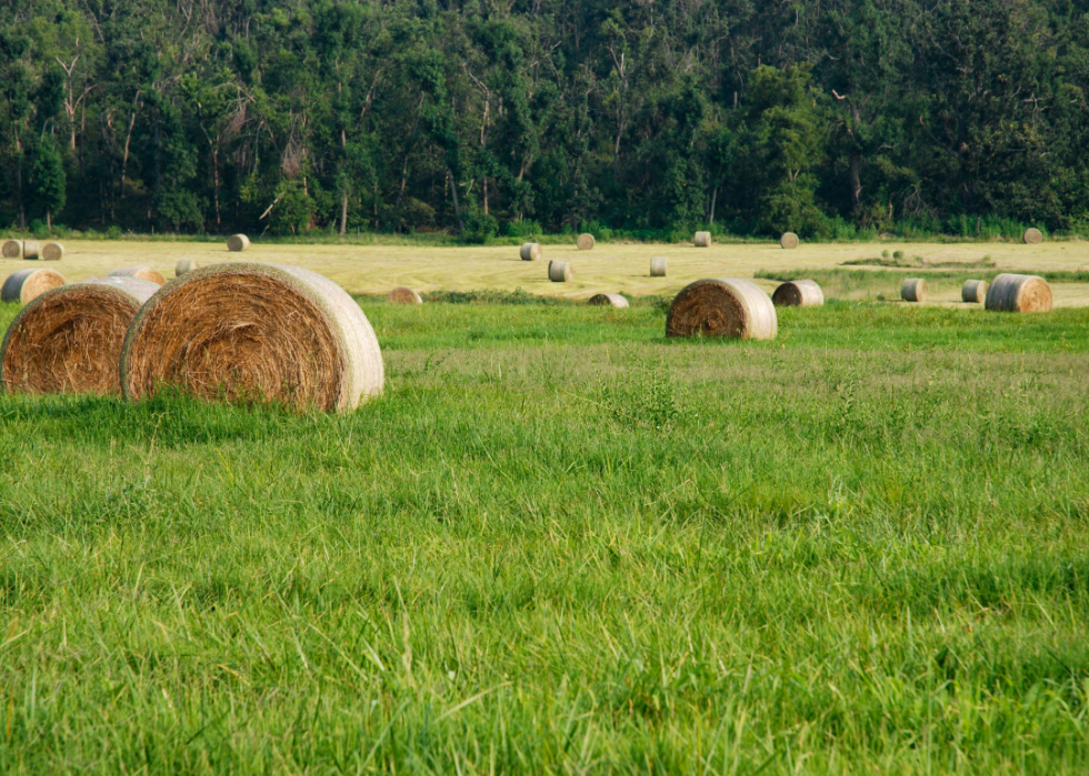 Le plus grand comté agricole de chaque État 