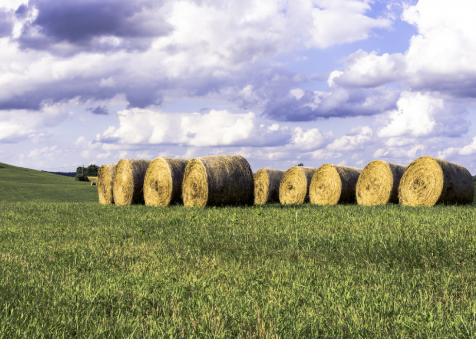 Le plus grand comté agricole de chaque État 