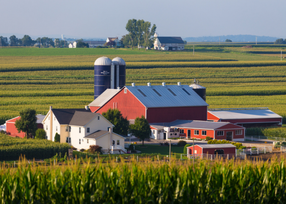 Le plus grand comté agricole de chaque État 