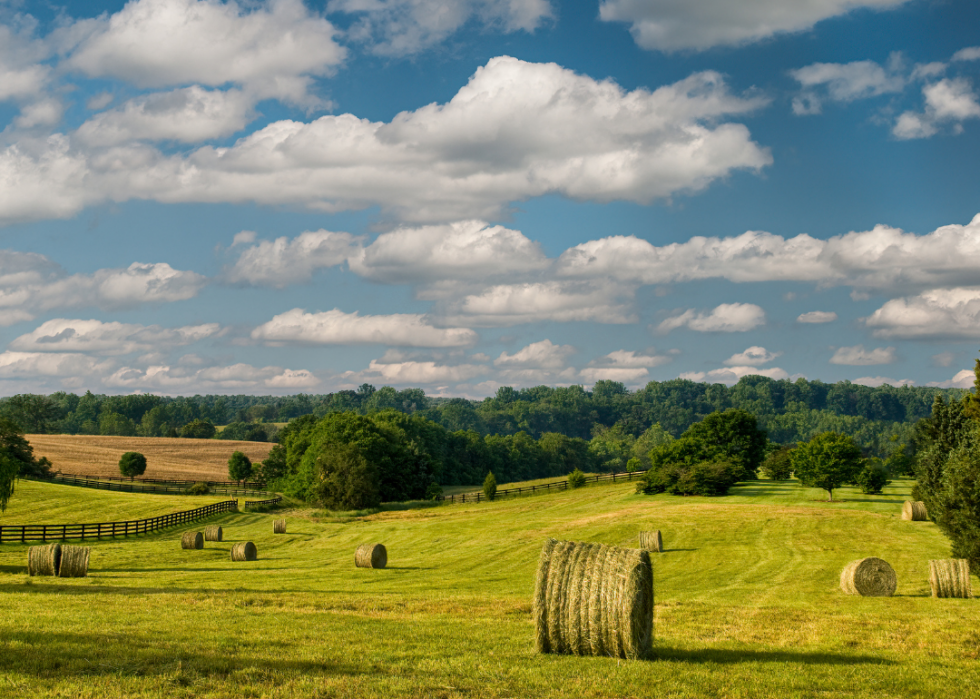 Le plus grand comté agricole de chaque État 