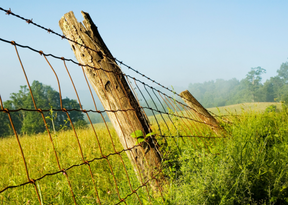 Le plus grand comté agricole de chaque État 