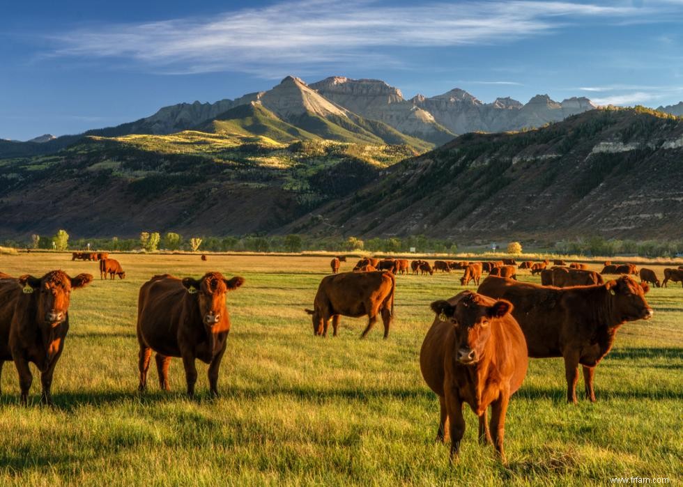 Les plus grandes exportations agricoles de chaque État 