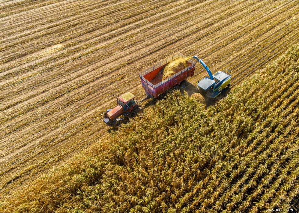 Les plus grandes exportations agricoles de chaque État 