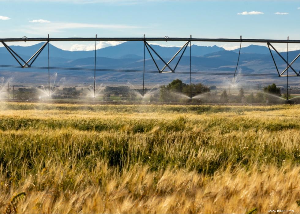 Les plus grandes exportations agricoles de chaque État 