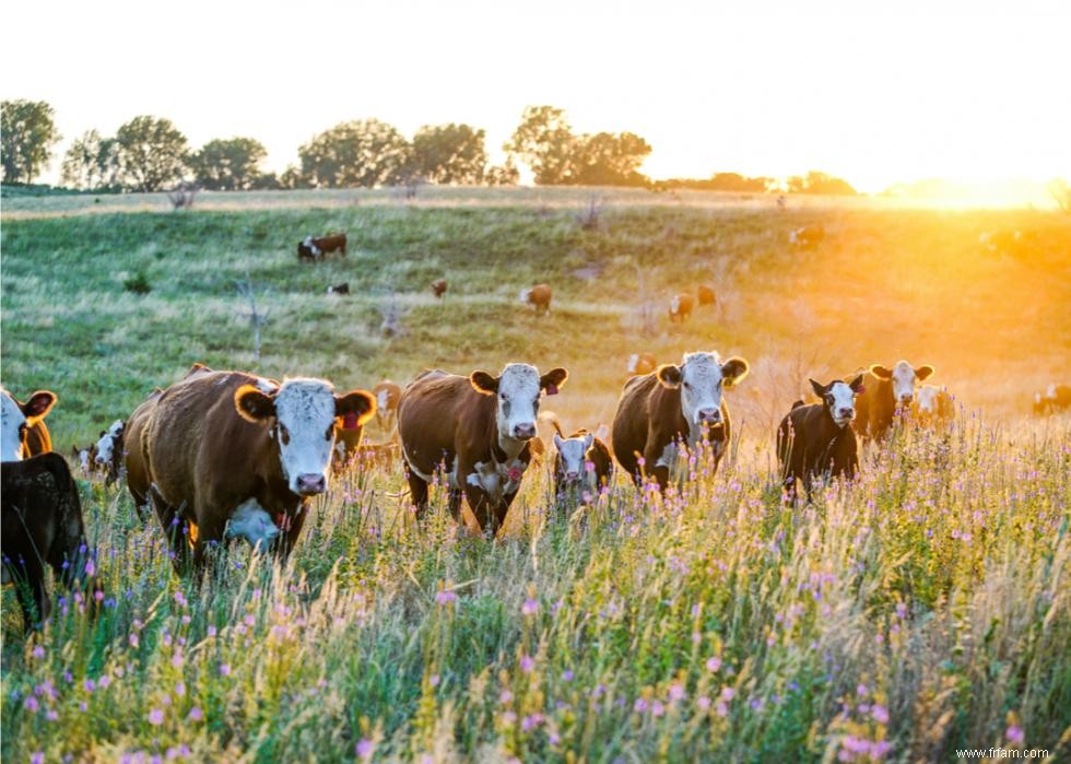 Les plus grandes exportations agricoles de chaque État 