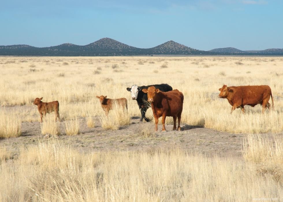 Les plus grandes exportations agricoles de chaque État 