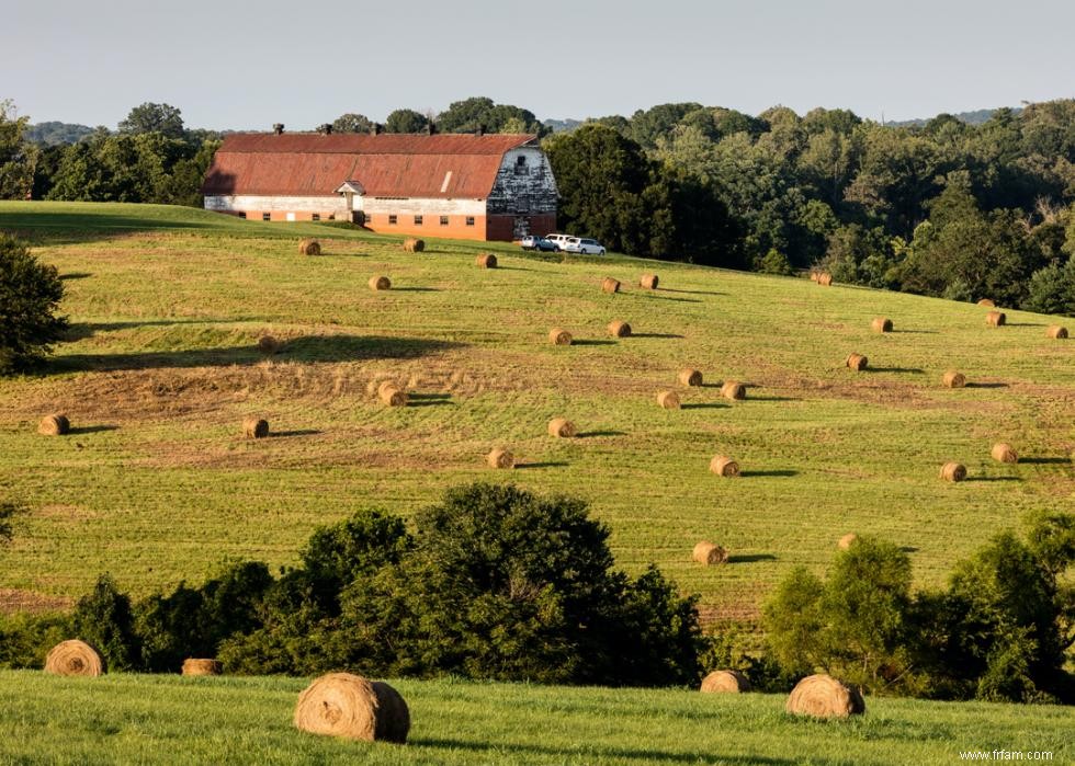 Les plus grandes exportations agricoles de chaque État 