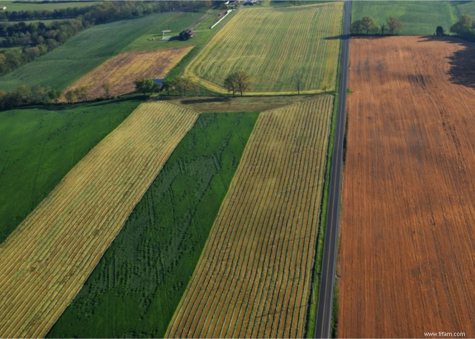 Les plus grandes exportations agricoles de chaque État 