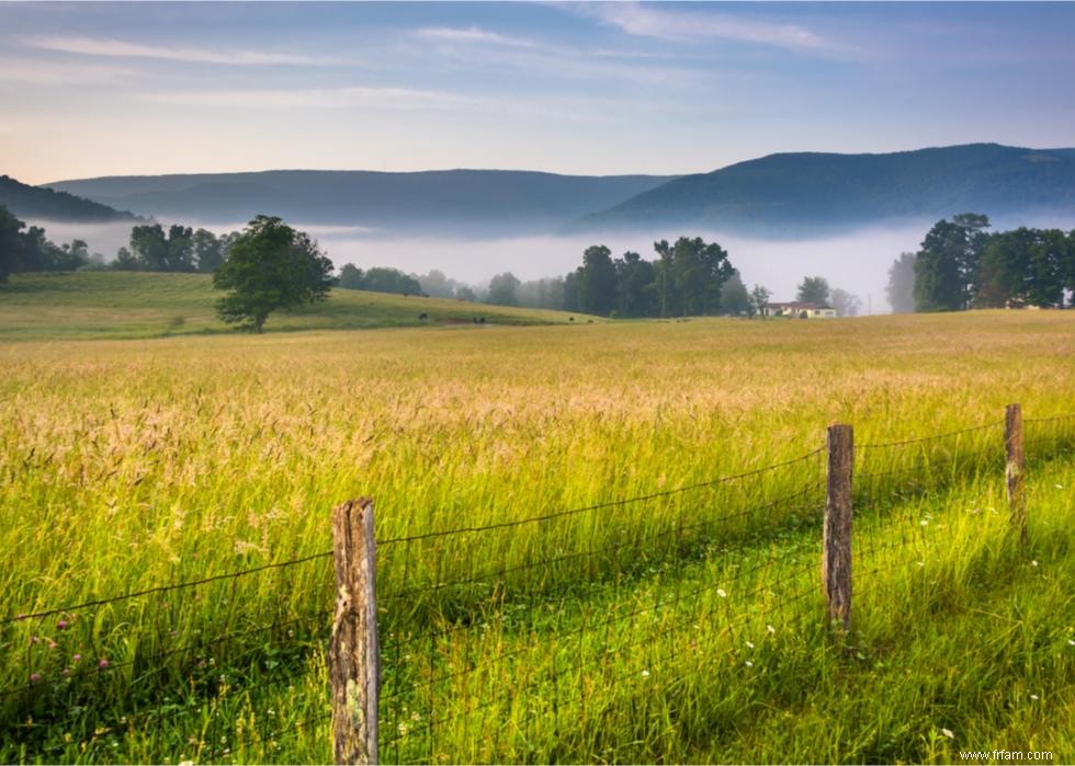 Les plus grandes exportations agricoles de chaque État 