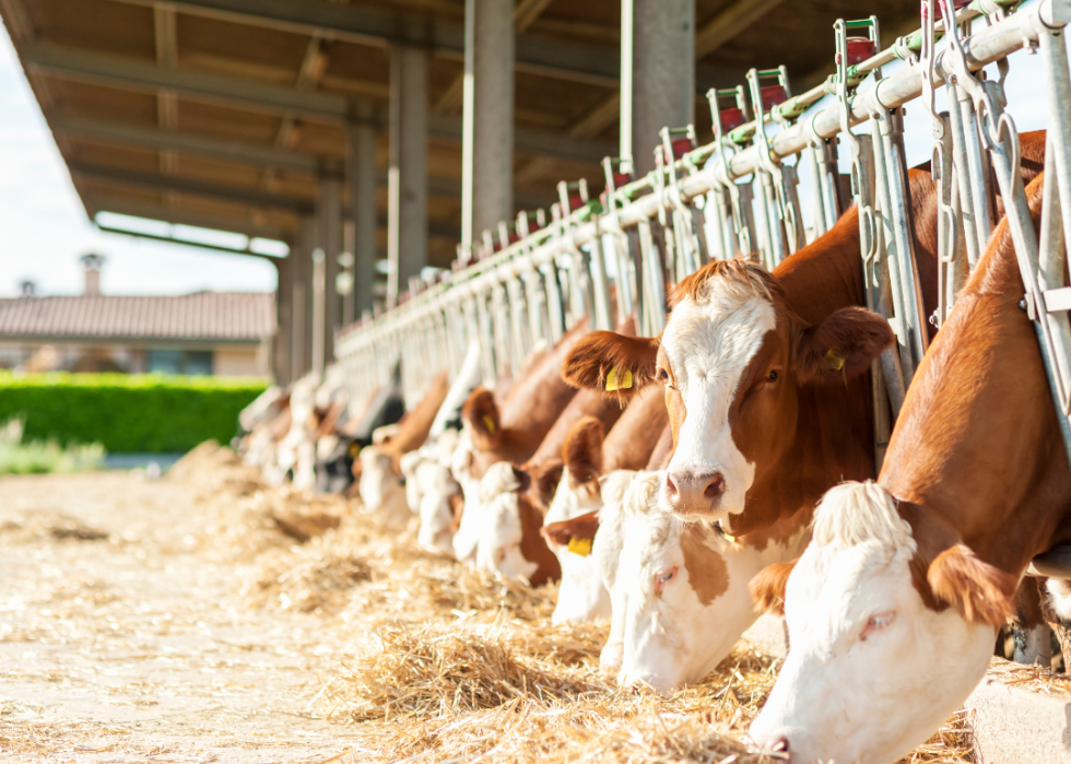 Les plus grandes exportations agricoles de chaque État 