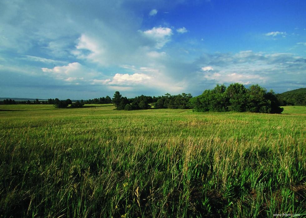 Produits agricoles les plus précieux de chaque État 