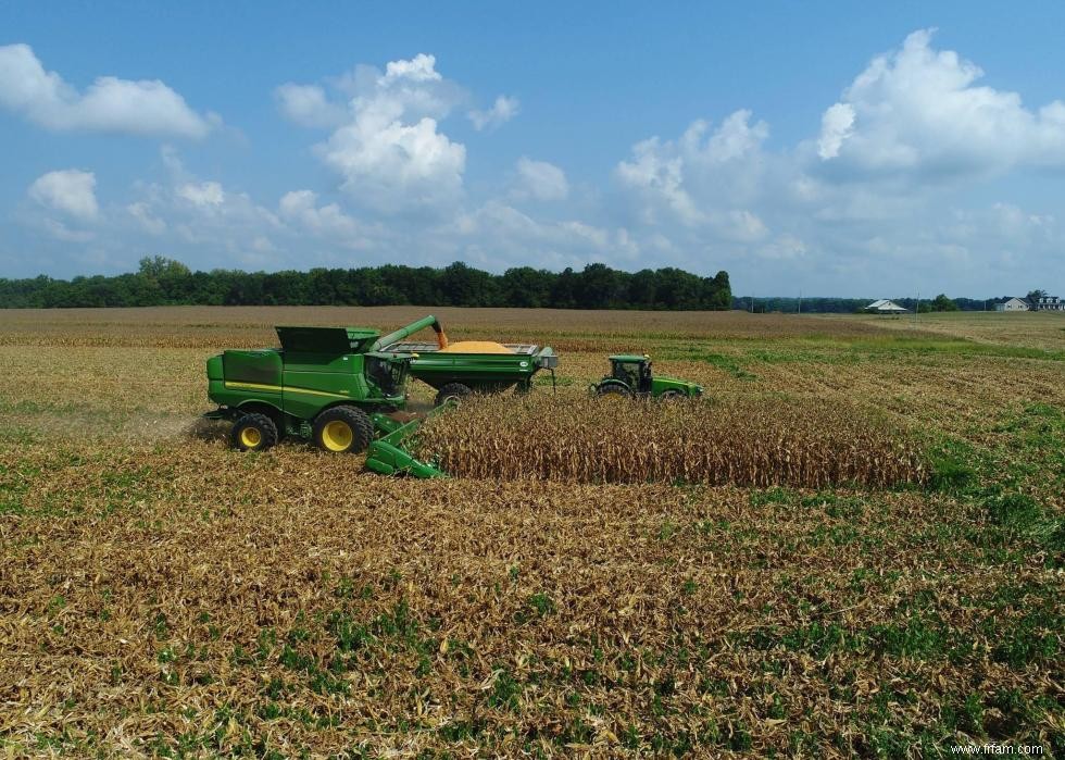 Produits agricoles les plus précieux de chaque État 