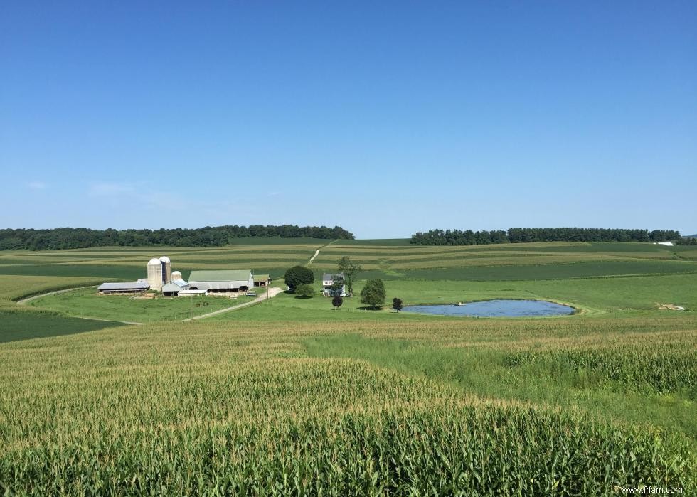 Produits agricoles les plus précieux de chaque État 