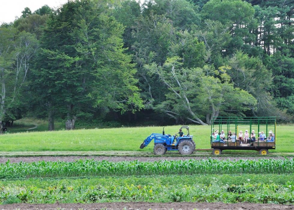 Produits agricoles les plus précieux de chaque État 