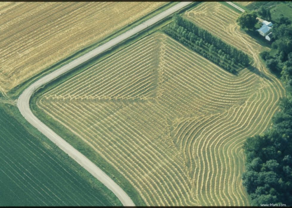 Produits agricoles les plus précieux de chaque État 