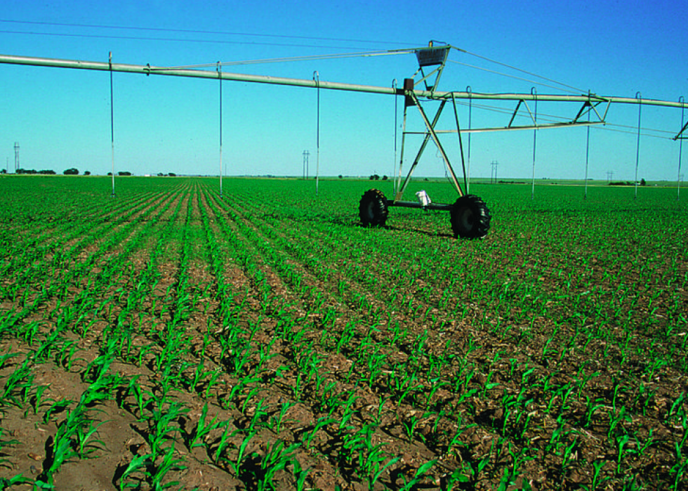 Produits agricoles les plus précieux de chaque État 