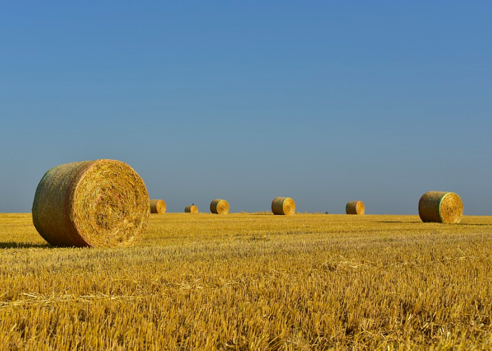 Produits agricoles les plus précieux de chaque État 