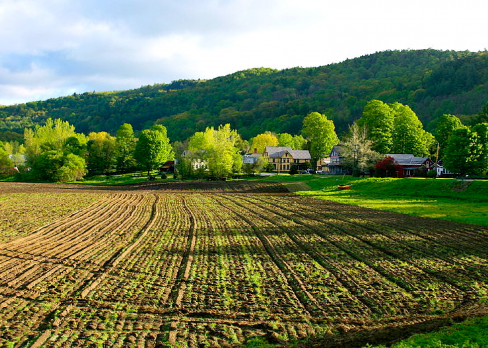 Produits agricoles les plus précieux de chaque État 