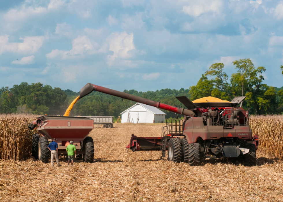 Produits agricoles les plus précieux de chaque État 