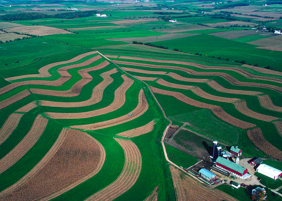 Produits agricoles les plus précieux de chaque État 