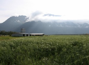 États avec la plus grande industrie agricole 