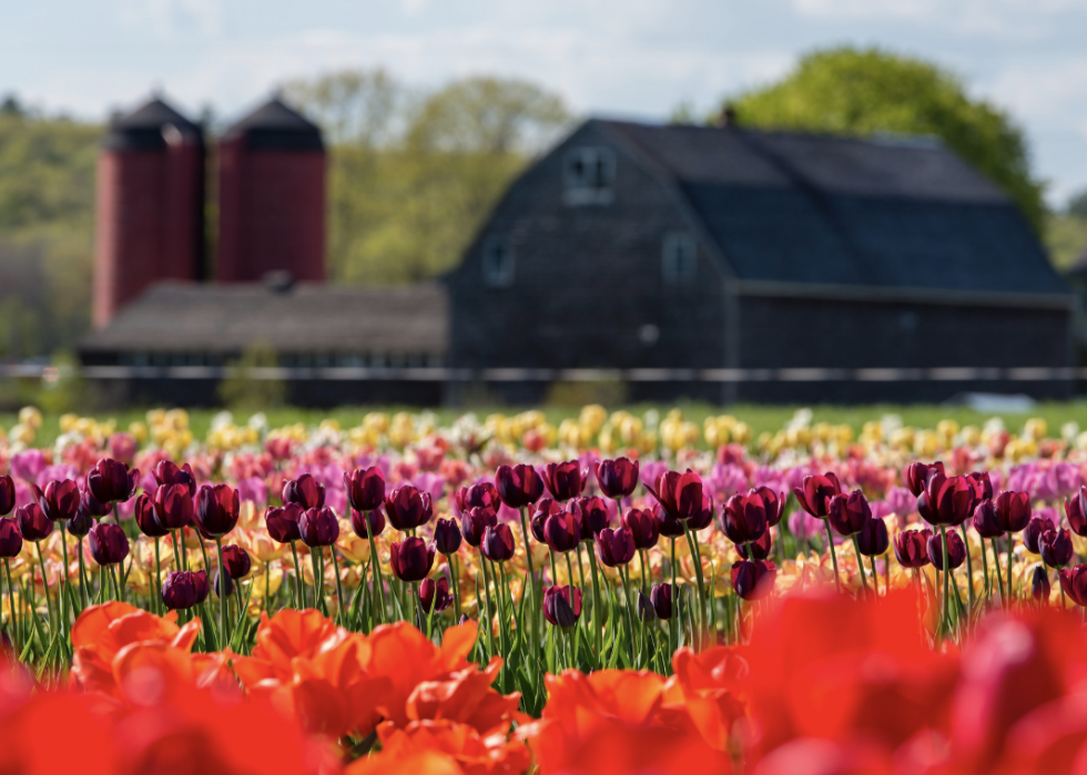 États avec la plus grande industrie agricole 