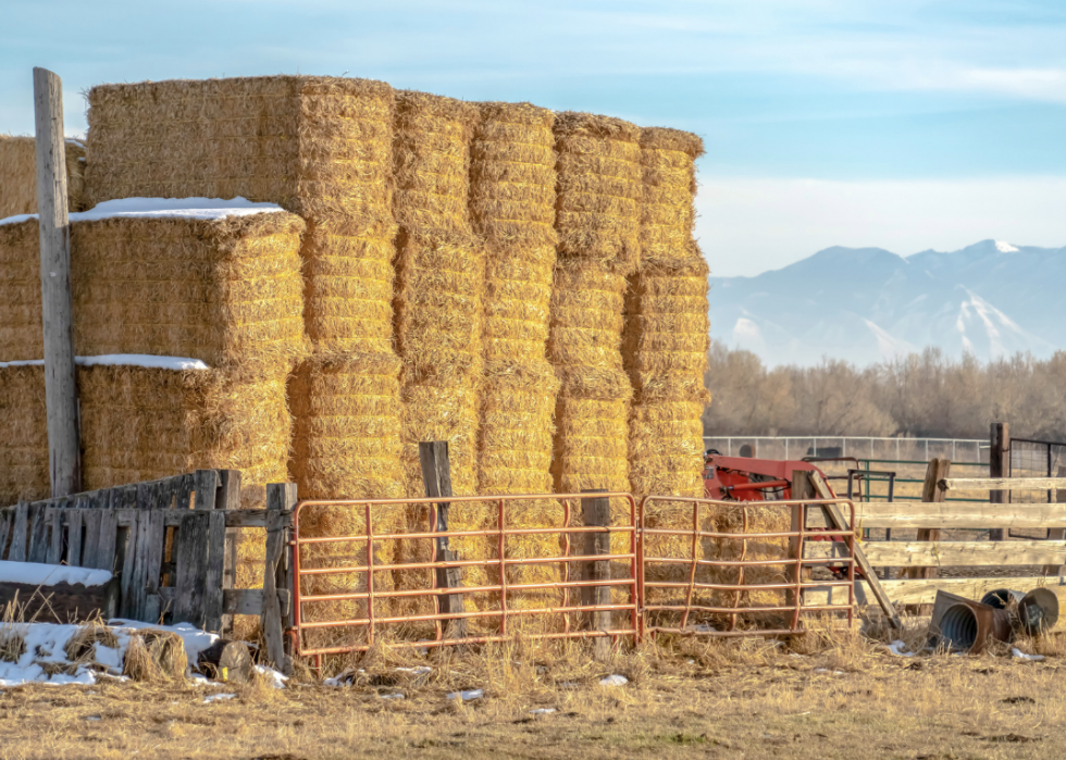 États avec la plus grande industrie agricole 