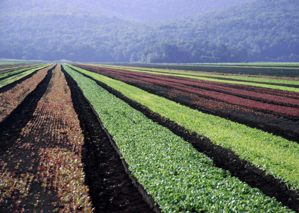 États avec la plus grande industrie agricole 