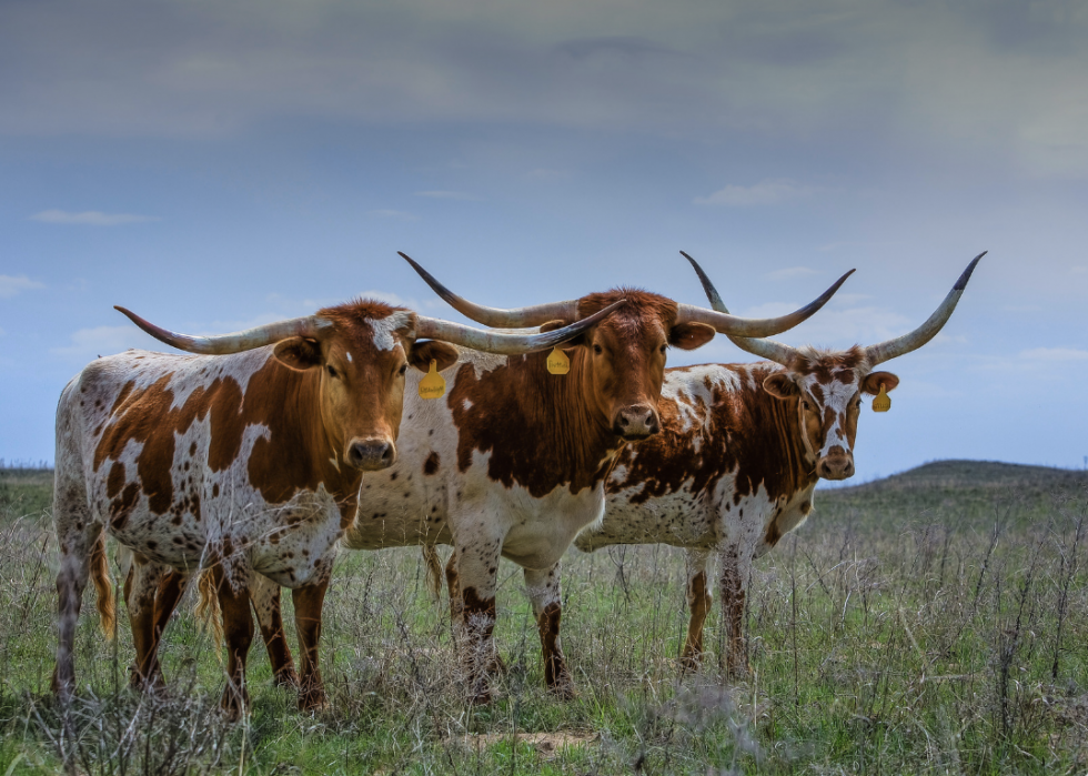 États avec la plus grande industrie agricole 