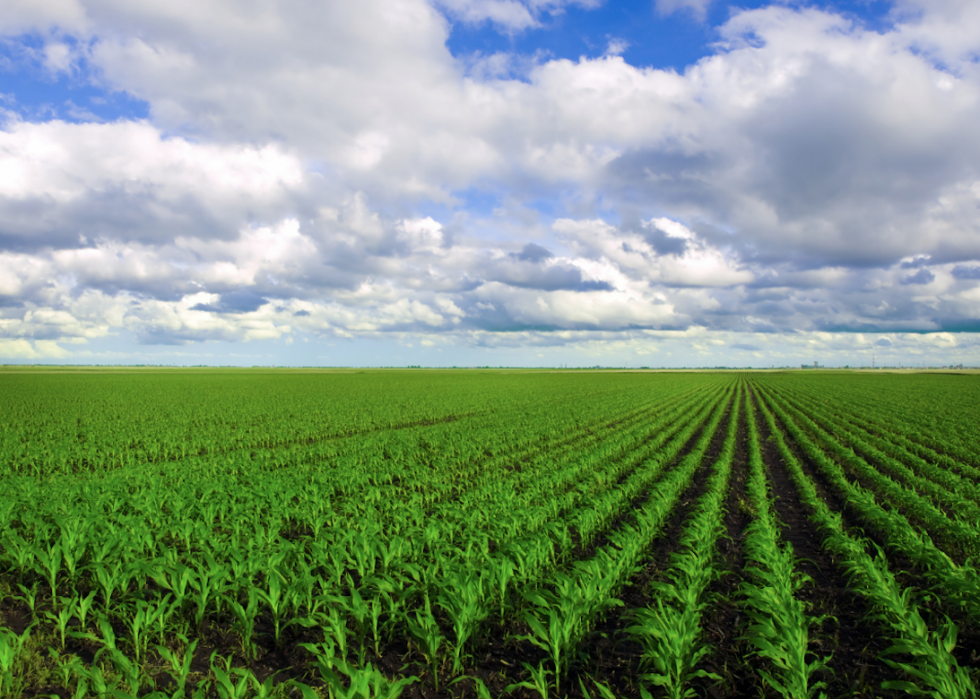 États avec la plus grande industrie agricole 