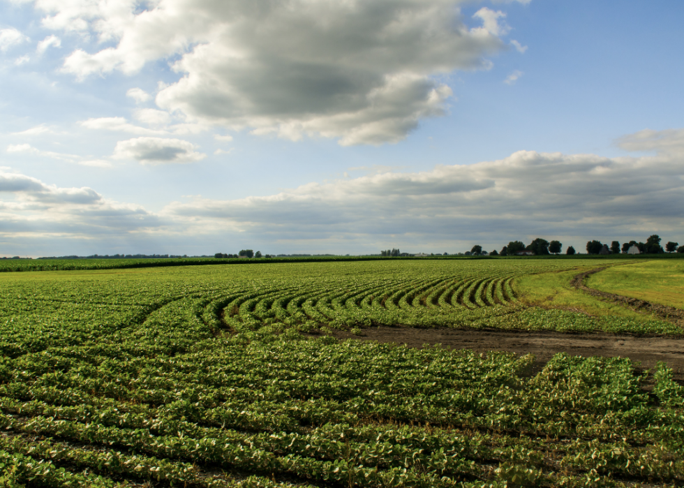 États avec la plus grande industrie agricole 