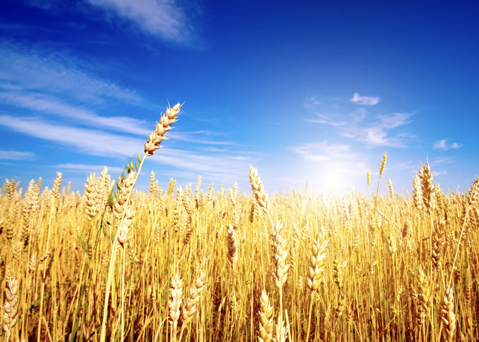 États avec la plus grande industrie agricole 