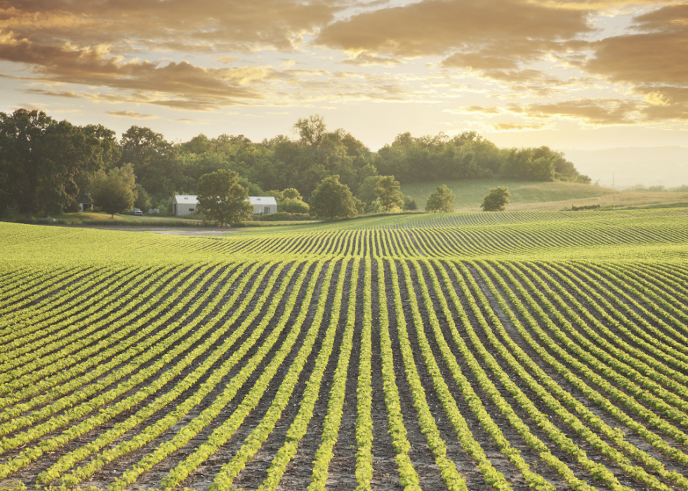 États avec la plus grande industrie agricole 