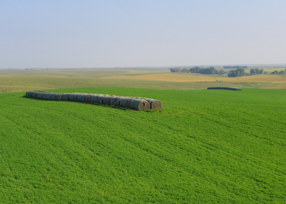 Comté le moins éduqué de chaque État 