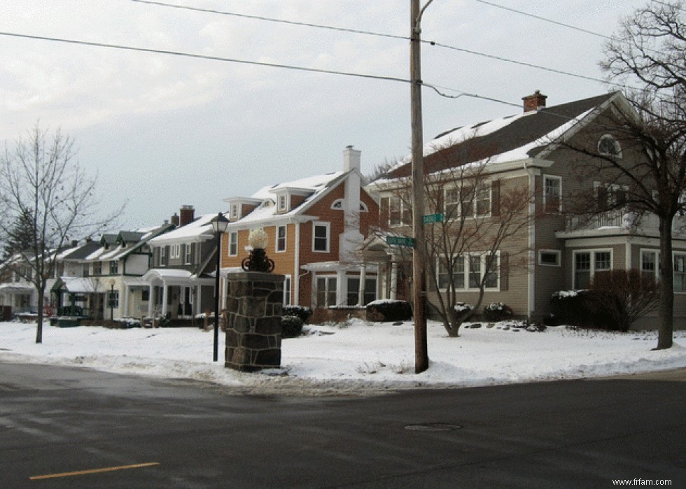 Les meilleures villes pour les palmes maison 