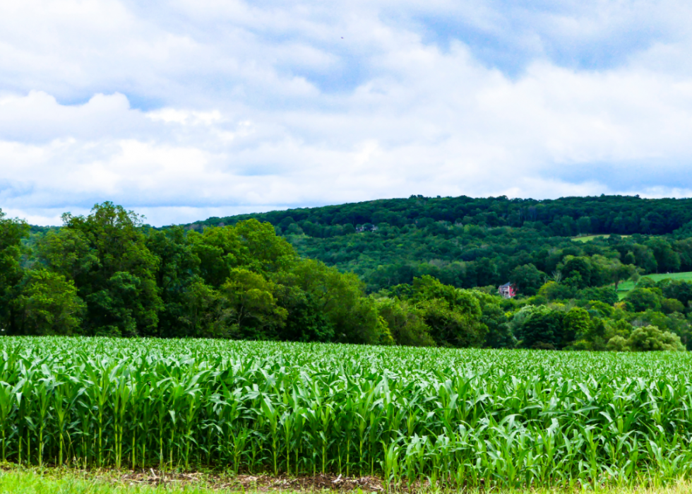 Comment chaque État utilise ses terres 