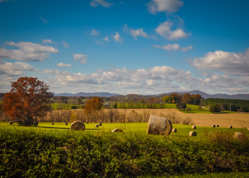 Comté dans chaque état avec les maisons les plus inoccupées 