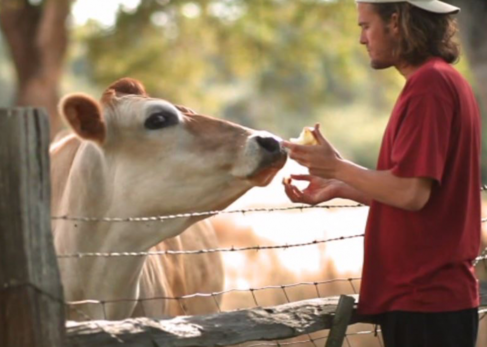 30 meilleurs documentaires sur la nature de tous les temps 