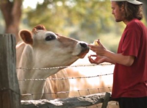 30 meilleurs documentaires sur la nature de tous les temps 