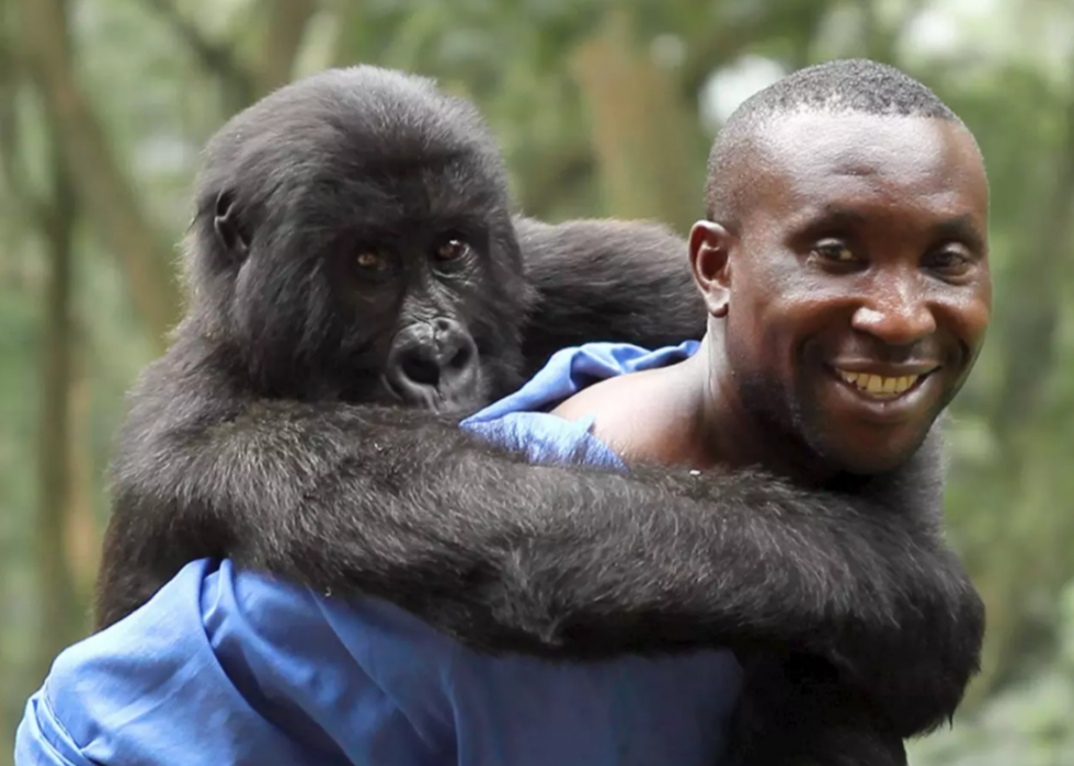 100 meilleurs documentaires de tous les temps 