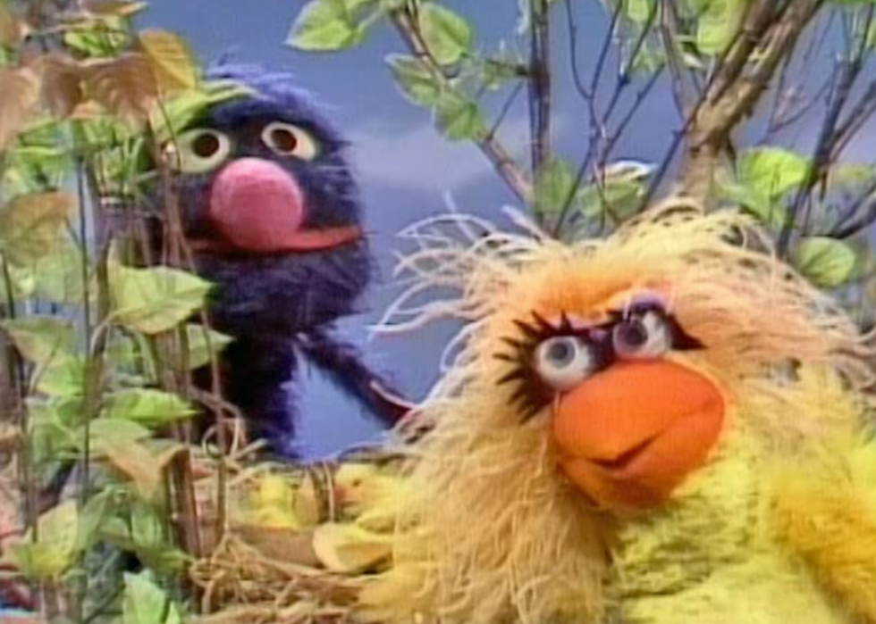 52 ans d histoire de  Sesame Street  