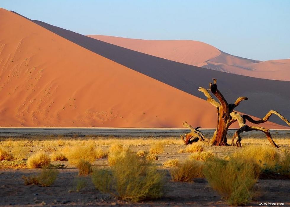 Pays avec la pire espérance de vie 