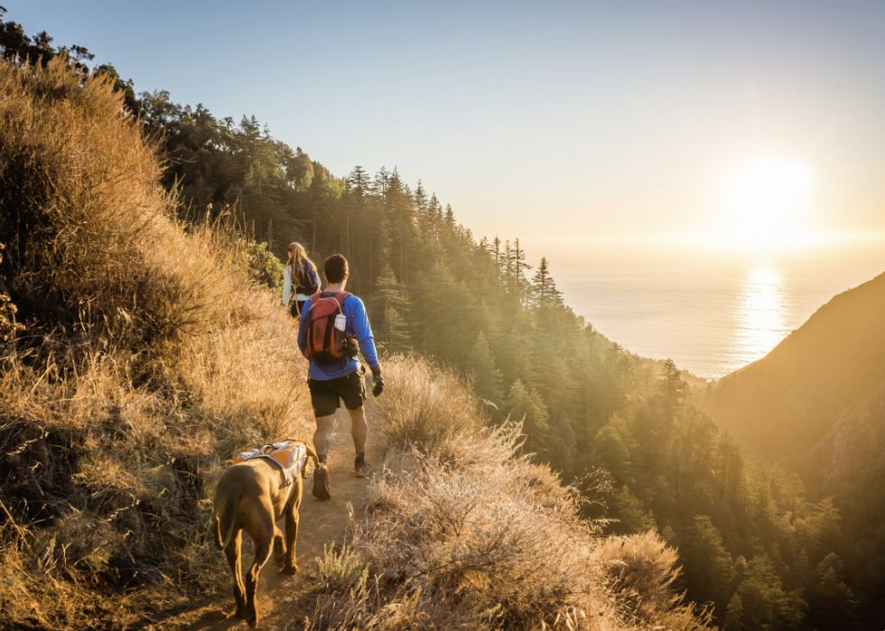 Les meilleurs exercices qui brûlent des calories 