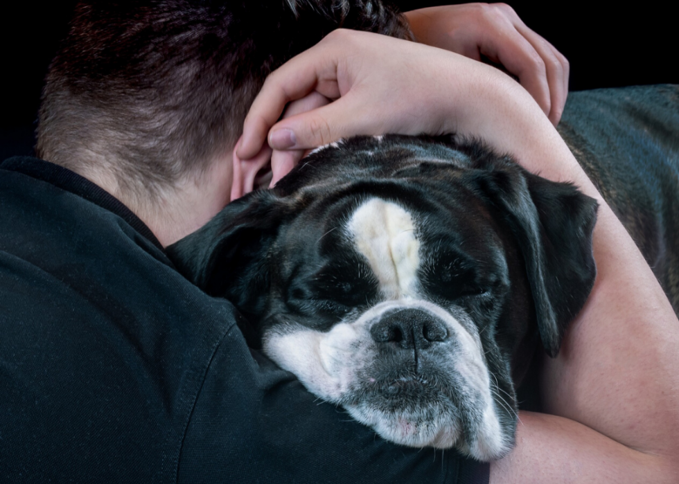 Conseils et ressources pour les propriétaires d animaux à travers l Amérique pendant COVID-19 