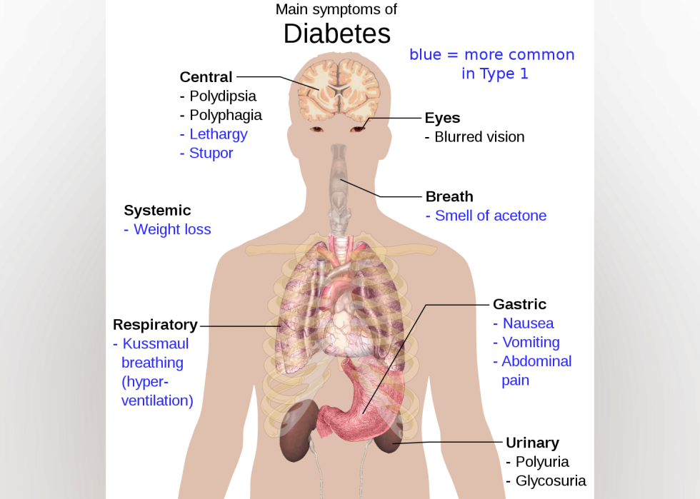 Antécédents médicaux depuis l année de votre naissance 