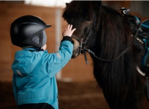 Du cheval au jeu :10 thérapies non traditionnelles 