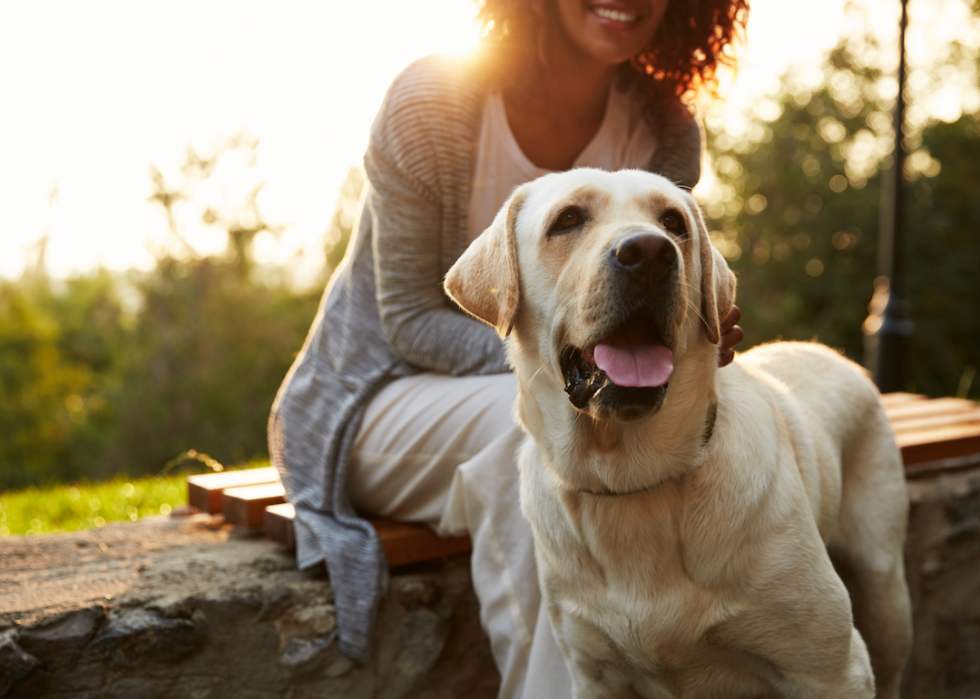 25 façons naturelles de renforcer votre système immunitaire 