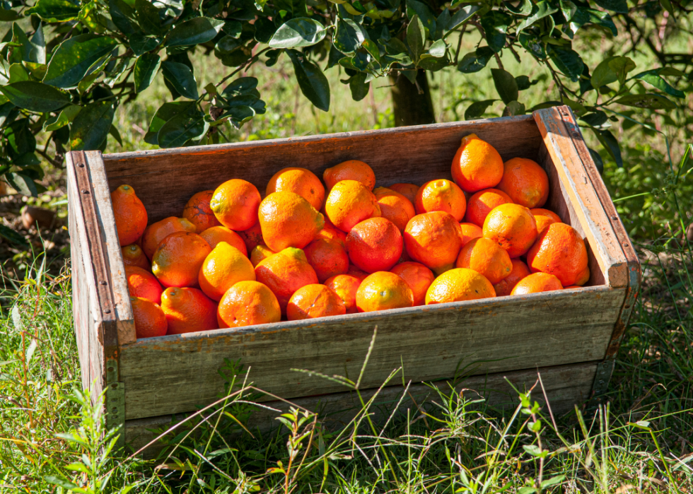 Comment la consommation de fruits et légumes varie selon l état 