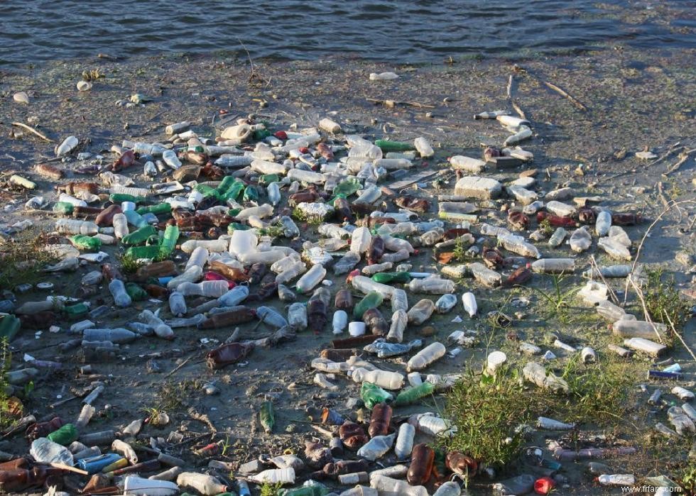 10 objets les plus courants qui polluent l océan 